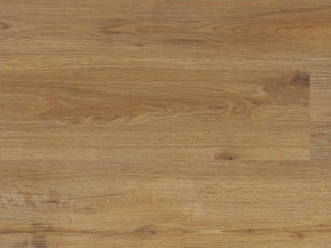 STRONG SPC Multilayer+ Bucura Klick-Designboden Landhausdielenoptik