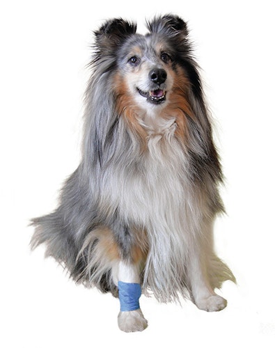 Vetlando Heimtierpflaster Hunde- & Katzenpflegeartikel