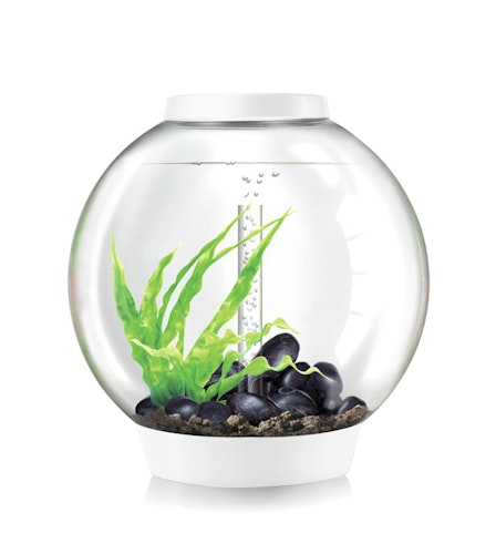 BiOrb Aquarium CLASSIC 60 MCR