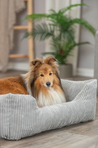 TRIXIE Vital Bett Jonna eckig mit Cordplüsch und Memory-Foam, hellgrau