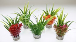 Sydeco Nano Fiesta Flower 14 Zentimeter Aquariendekoration