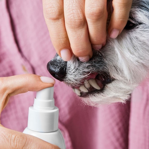 Tierliebhaber Dentalspray für Hunde