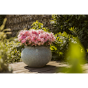 Vorschaubild Plant Pot Ensio grün antik