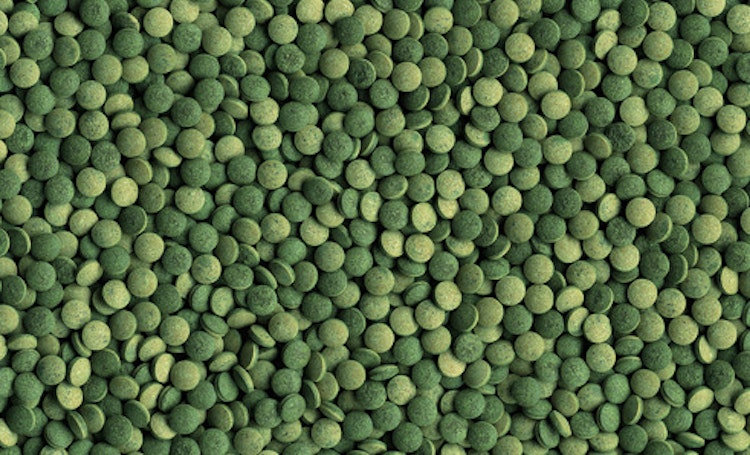 Tetra Pleco Tablets 120Tb