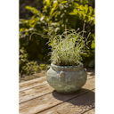 Vorschaubild Plant Pot Ensio grün antik