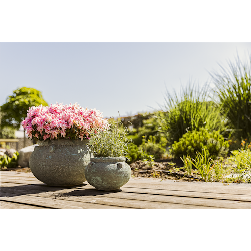 Plant Pot Ensio grün antik