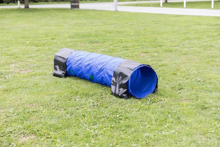 TRIXIE Fun Agility Mini Tunnel, ø 40 cm/2 m, blau
