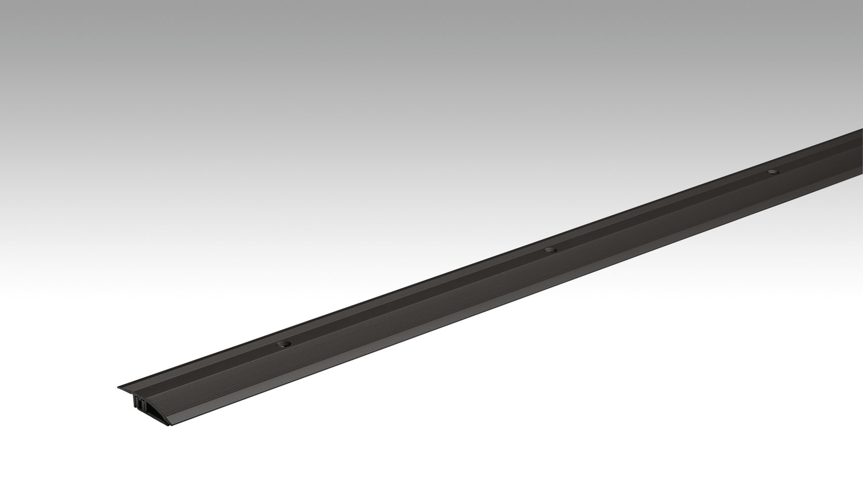 MEISTER Anpassungsprofil Typ 100 (2,5 bis 7 mm) Schwarz eloxiert 2510 - 2700 mm