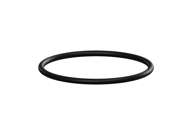 Kessel 680014 - O-Ring F 60
