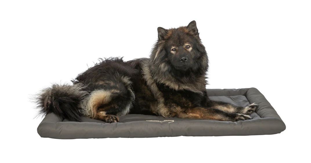 Thumbnail - TRIXIE Reisedecke Samoa Classic, 130 × 80 cm, olivgrün