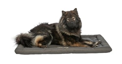 TRIXIE Reisedecke Samoa Classic, olivgrün