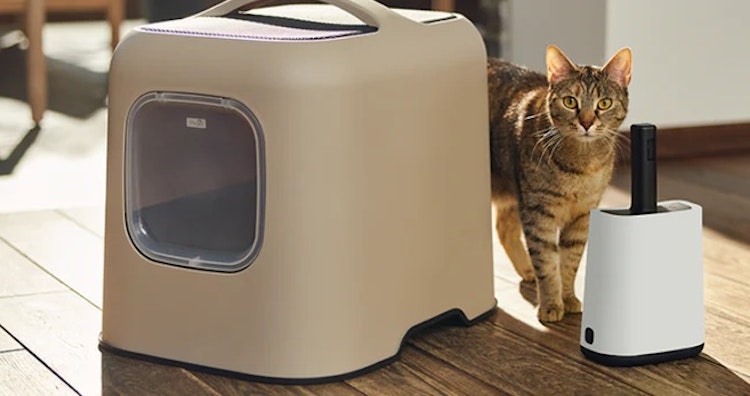 Rotho Biala Katzentoilette