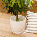 Vorschaubild Wikholm form Design Untersetzer Creme weiß ⌀ 19/23/28,5 cm