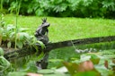 Vorschaubild Ubbink Wasserspeier Froschkönigin
