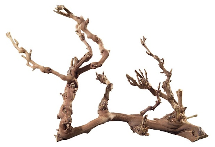 HOBBY Weinreben Wurzel Aquarieneinrichtung