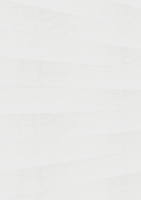 MEISTER Dekorpaneele MeisterPaneele. terra DP 250 20098 White ash alle Längen