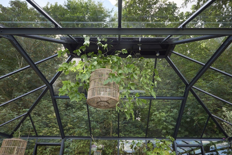 Juliana Gewächshaus Grand Oase anthrazit - 3 mm Sicherheitsglas - 25,6 m²