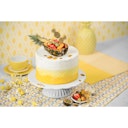 Vorschaubild Kaiser Tortenbodenschneider Pâtisserie