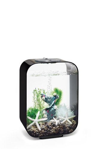 biOrb Decor Set 15L Flower Garden (48443)