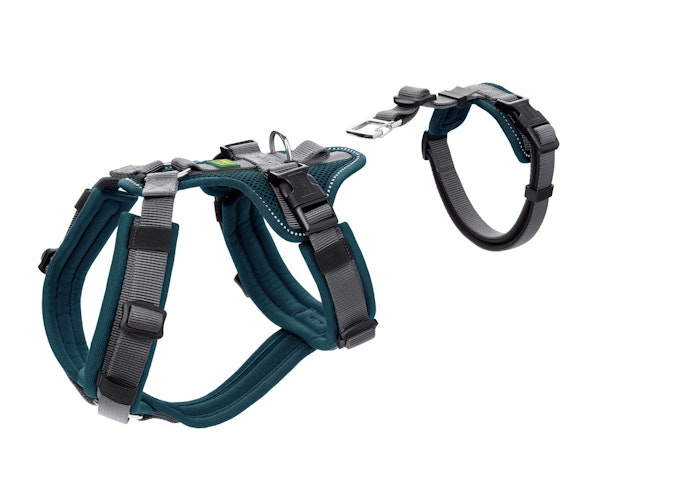Hunter Geschirr Sicherheit Maldon petrol Hundegeschirr