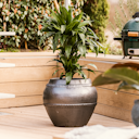 Vorschaubild Plant Pot Pekka