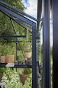 Juliana Gewächshaus Grand Oase anthrazit - 3 mm Sicherheitsglas - 25,6 m²
