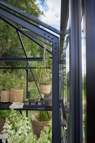 Juliana Gewächshaus Grand Oase anthrazit - 3 mm Sicherheitsglas - 25,6 m²