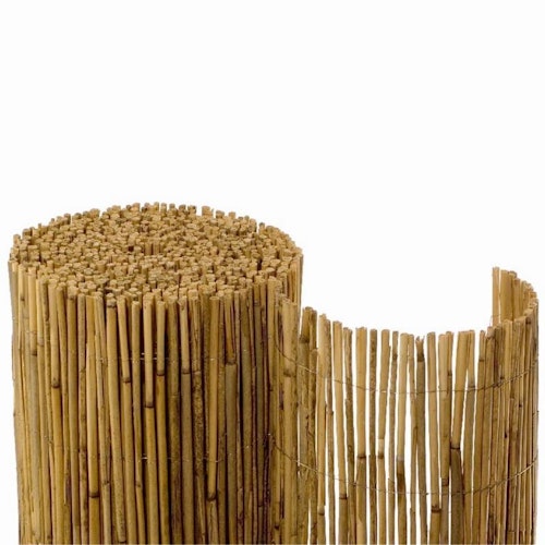 Noor Schilfrohrmatte St. Tropez in verschiedenen Größen