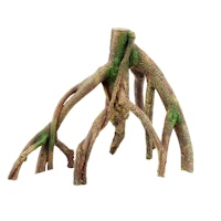 aquatlantis Wurzel Mango 1