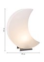 Vorschaubild 8 seasons design LED-Dekoleuchte Shining Moon (RGB), verschiedene Größen