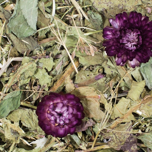 JR FARM Grainless Plus 100g Kleintiersnack