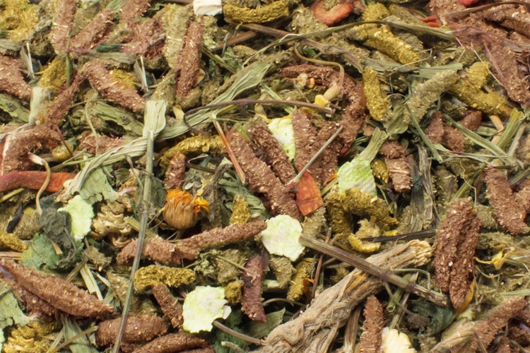 JR FARM Grainless Health Mix Meerschweinchen Kleintierfutter