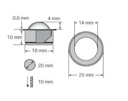 querschnit_Frog_dot_1