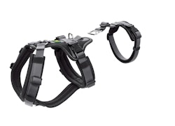 Hunter Geschirr Sicherheit Maldon M / 53 - 71 Centimeter schwarz Hundegeschirr