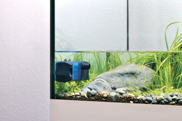 EDEN FIN 25 Innenfilter