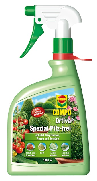 compo fungizid biologische kupfer 250 gr Compo Bio Fungicide Koper 50 g – Planeta Huerto B2C International