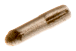 Husqvarna 501 46 24-01 - STIFT