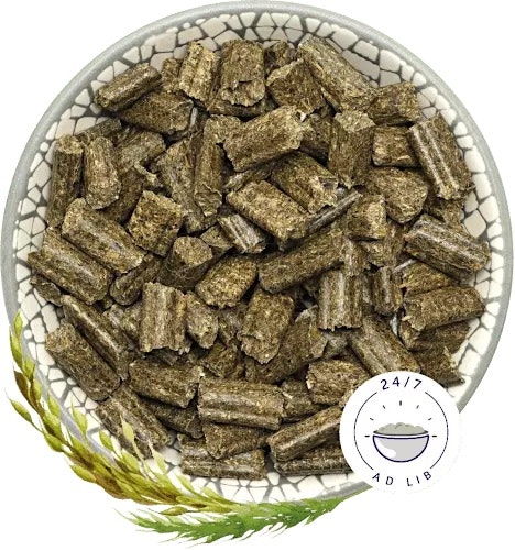 Bunny KaninchenTraum Basic Kleintierfutter