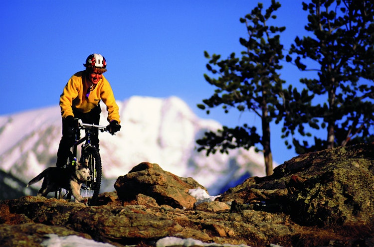 kwb Taschenmesser 11-tlg. 16120