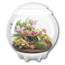 Vorschaubild BiOrb Terrarium AIR 60