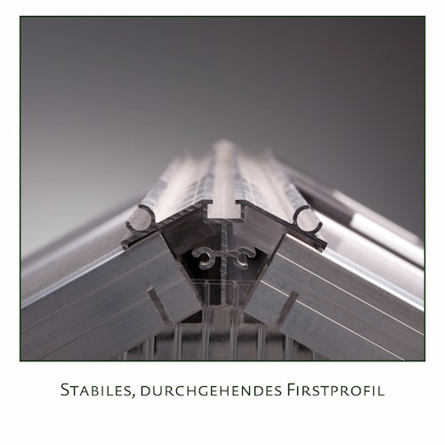 KGT Gewächshaus Iris Typ II