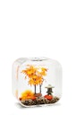 Vorschaubild biOrb Decor Set 30L Herbst (55027)
