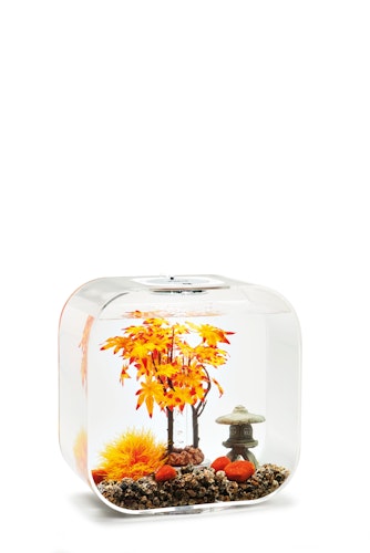 biOrb Decor Set 30L Herbst (55027)