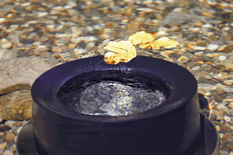 Oase ProfiSkim Premium