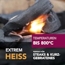 McBrikett Holzkohle MARABU 15kg