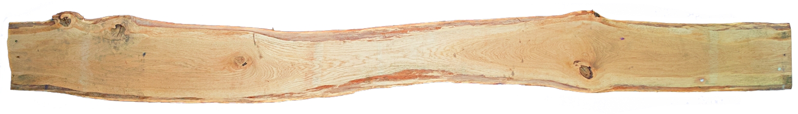 T&J MATTEO BONANZA Zaunbretter Eiche 2400 mm