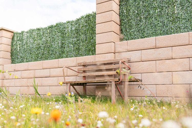 Diephaus Mauerstein COLUNA