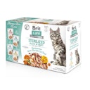 Vorschaubild Brit Katze MultiPack 12 x 85g Fillets in Gravy