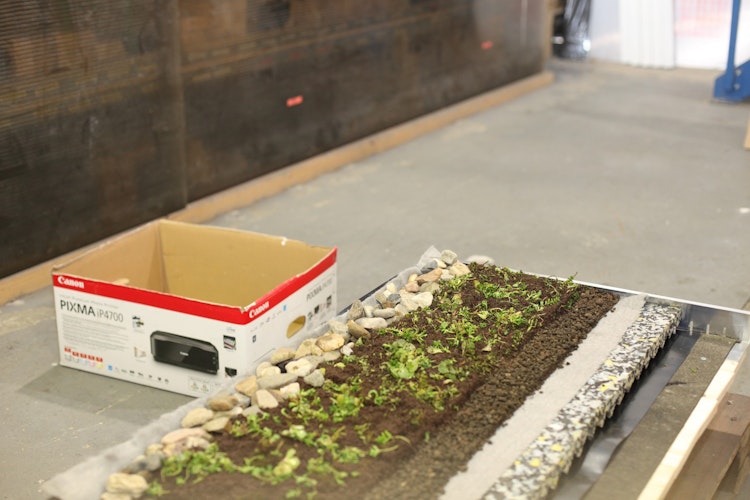 Skan Holz Dachbegrünungspaket für Carports Emsland und Wendland