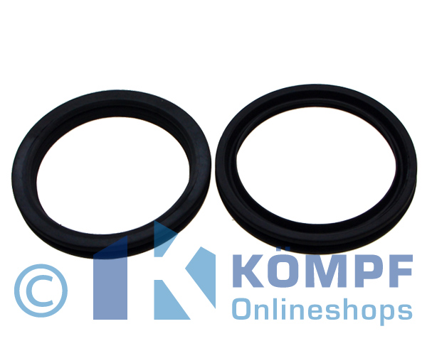 Oase Dichtung 100 für Biotec 30 / 36 (34285)